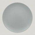 Pitaya grey